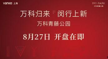 爆料青藤公园事件视频,真相与争议交织  第3张